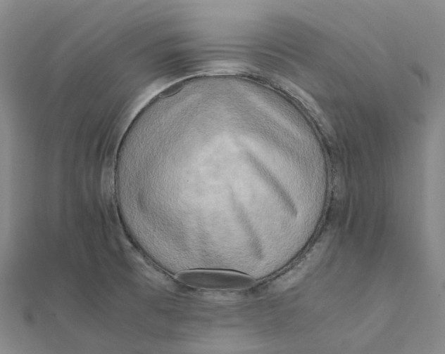 X0000112091473200909011054