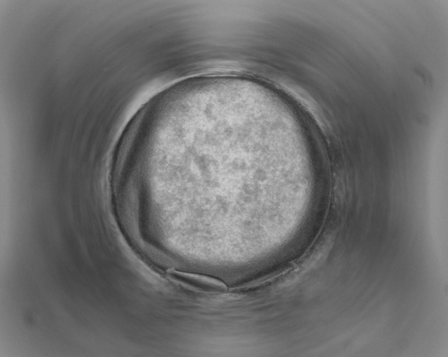 X0000112091475200909011054