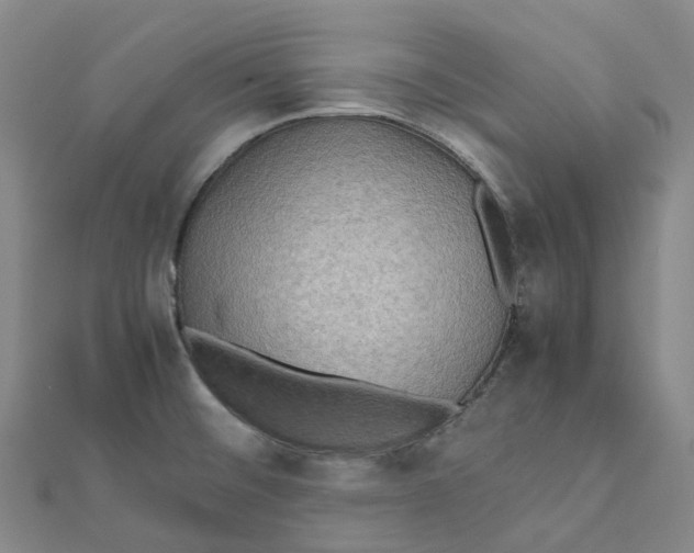 X0000112091476200909011054
