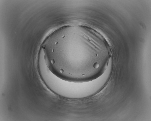 X0000112091477200909011054