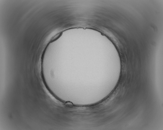 X0000112091479200909011054