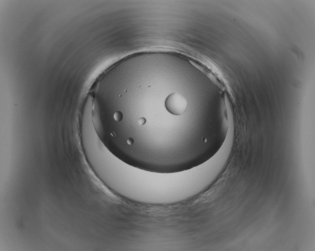 X0000112091480200909011054