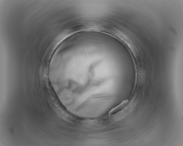 X0000112091481200909011054