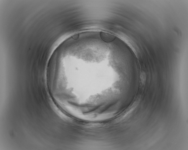 X0000112091482200909011054
