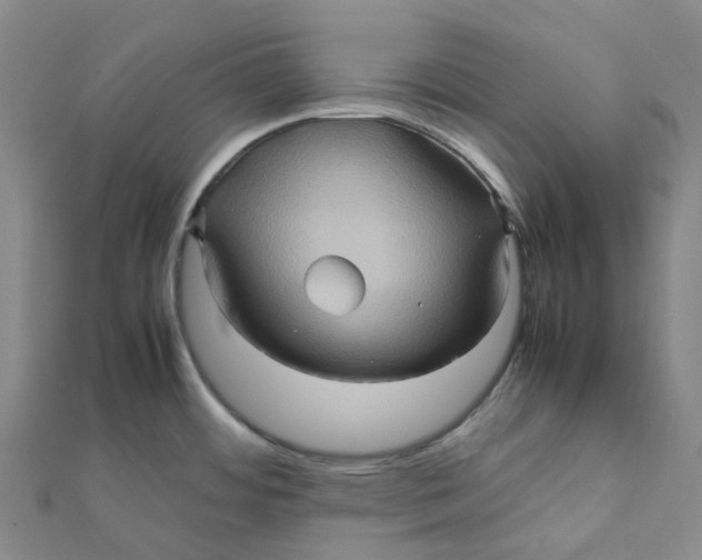 X0000112091484200909011054
