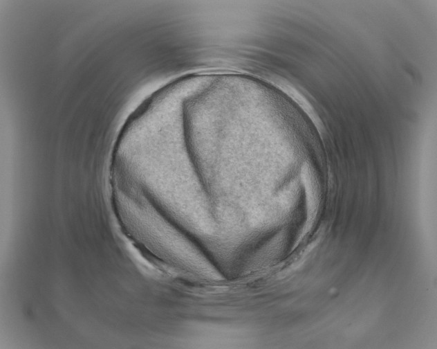X0000112091485200909011054
