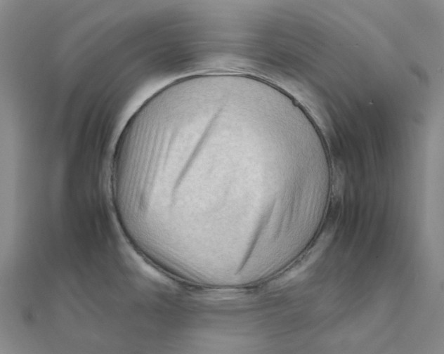X0000112091486200909011054
