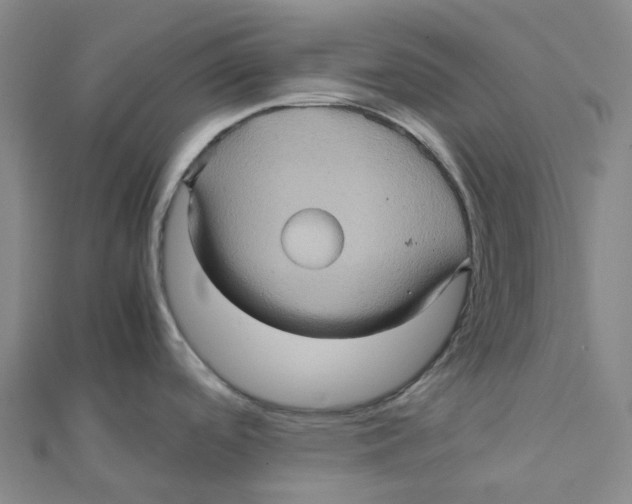 X0000112091488200909011054