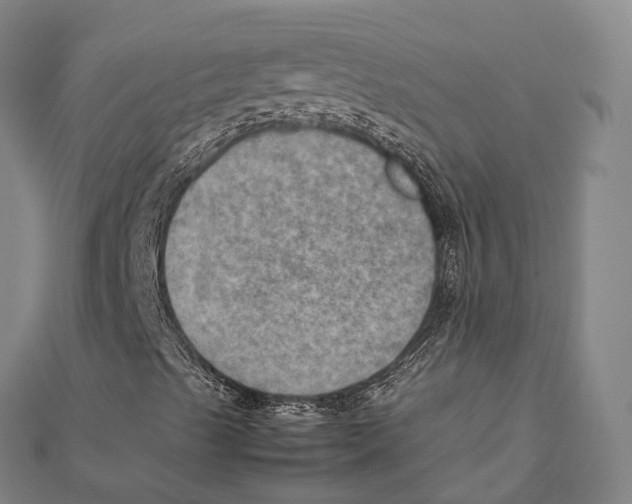X0000112091489200909011053
