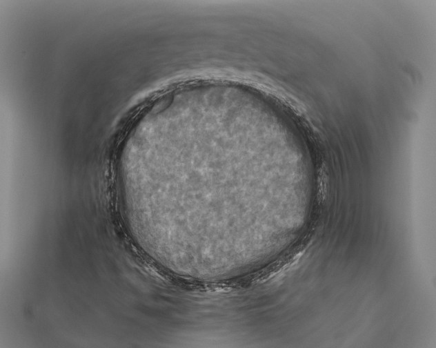 X0000112091494200909011053
