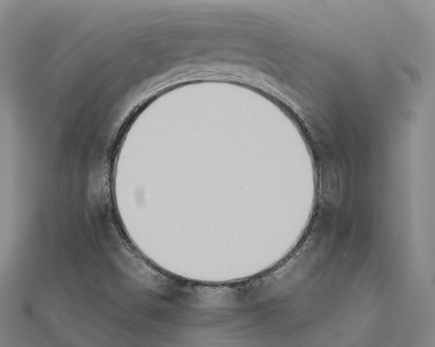 X0000112091498200909011053