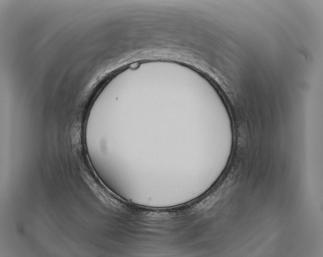 X0000112091499200909011053