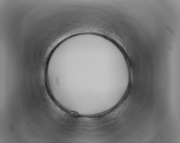 X0000112091500200909011053