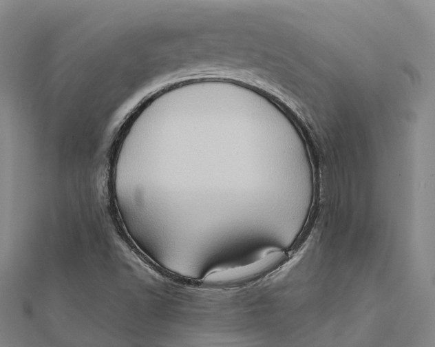 X0000112091502200909011054