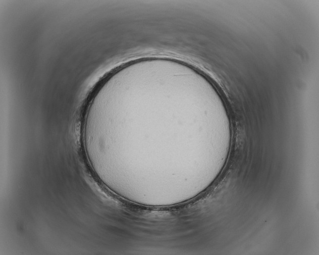 X0000112091503200909011054