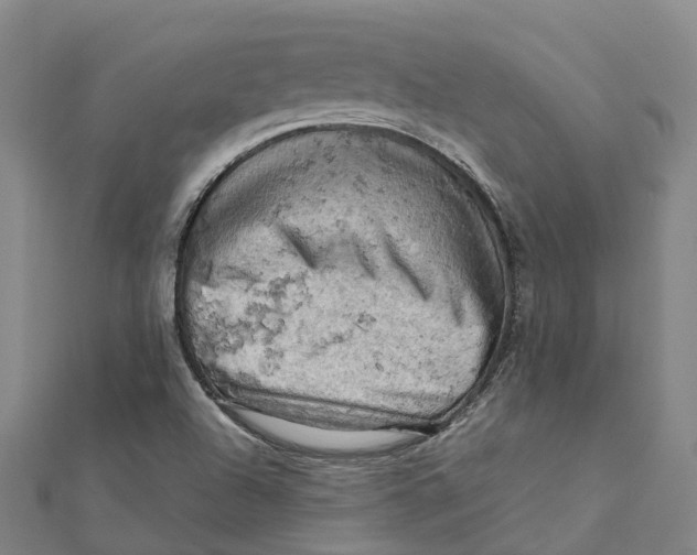 X0000112091504200909011054