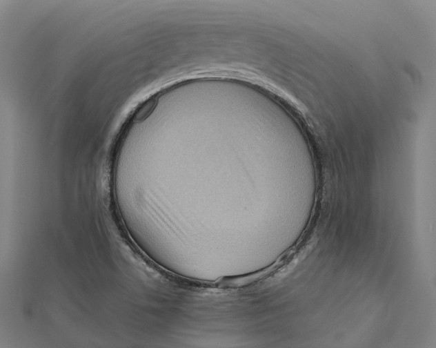 X0000112091506200909011054