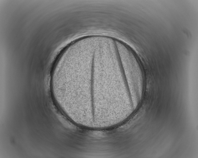 X0000112091507200909011054