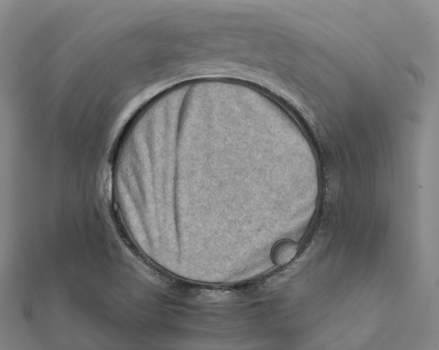 X0000112091509200909011054