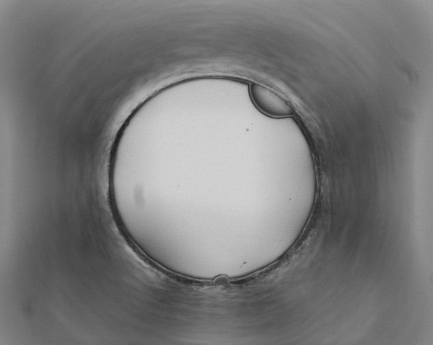 X0000112091512200909011054