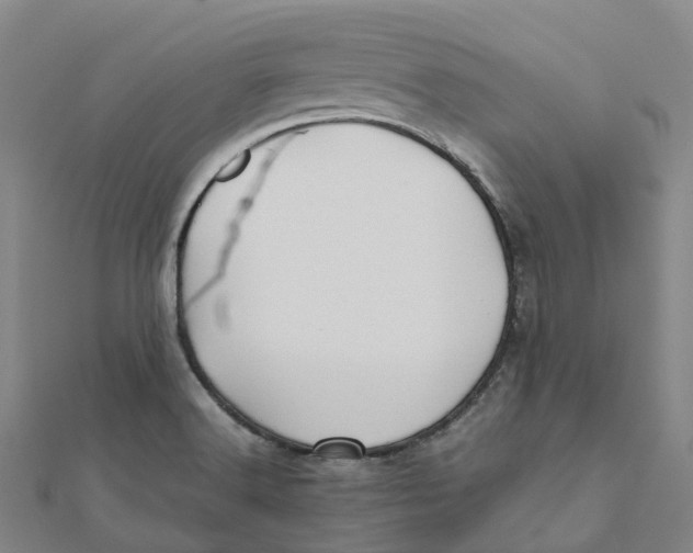 X0000112091516200909011054