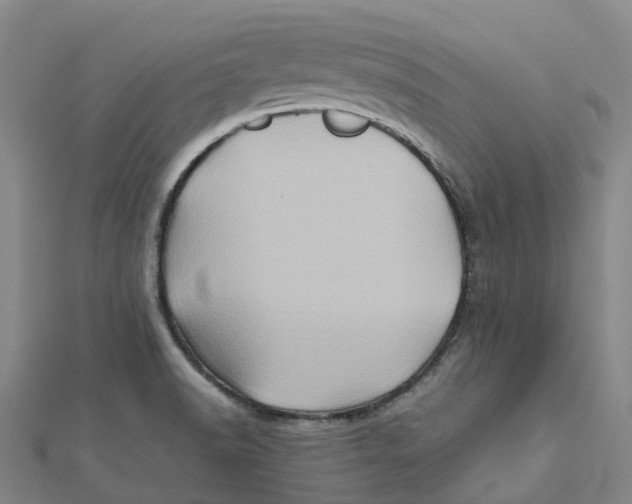 X0000112091518200909011054