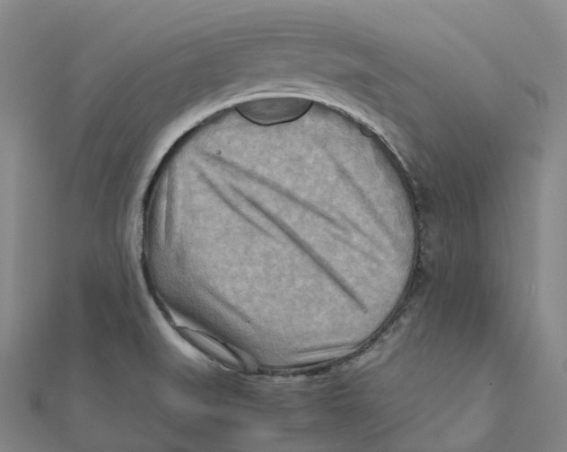 X0000112091519200909011054