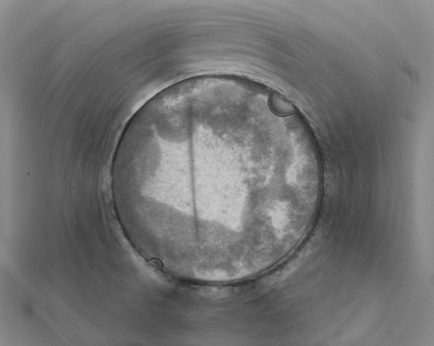 X0000112091521200909011054