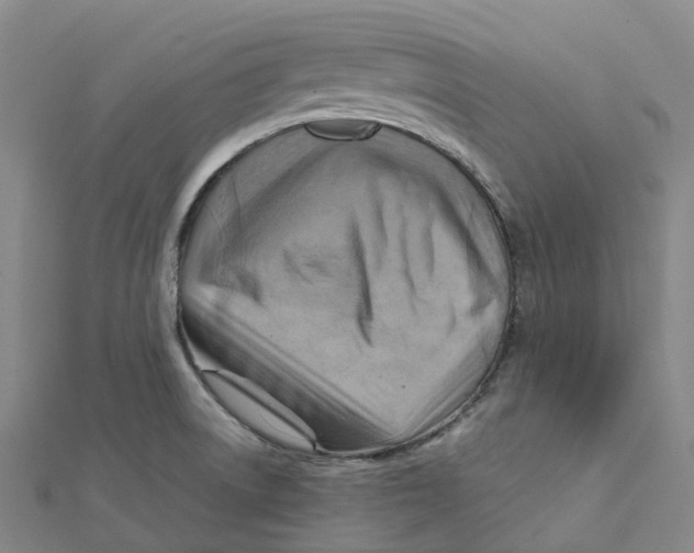 X0000112091522200909011054
