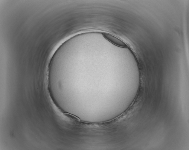 X0000112091524200909011054