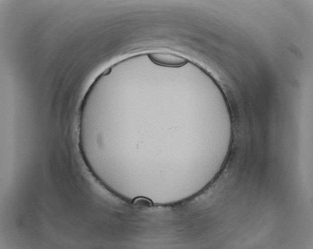 X0000112091526200909011054