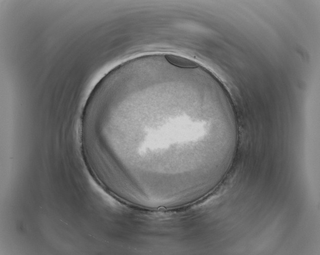 X0000112091527200909011054