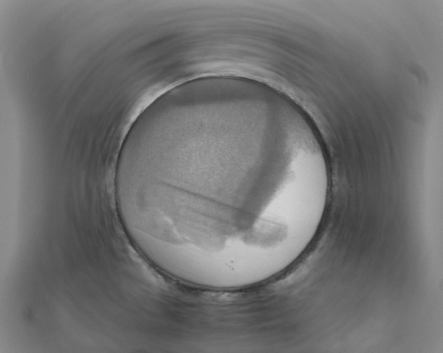 X0000112091529200909011054