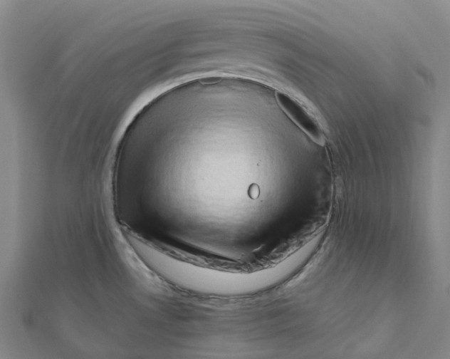 X0000112091530200909011054