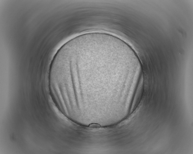 X0000112091534200909011054