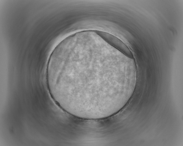 X0000112091536200909011054