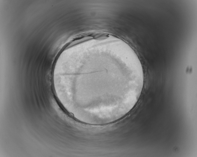 X0000112090002200909151147