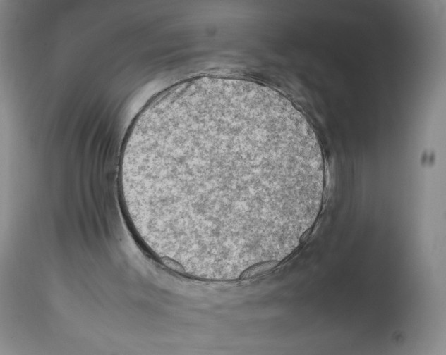 X0000112090003200909151147