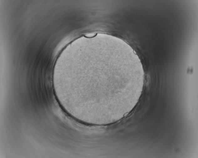 X0000112090004200909151147