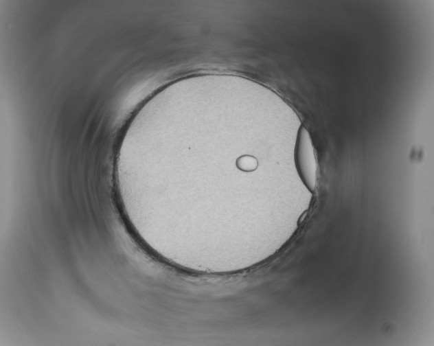 X0000112090005200909151147