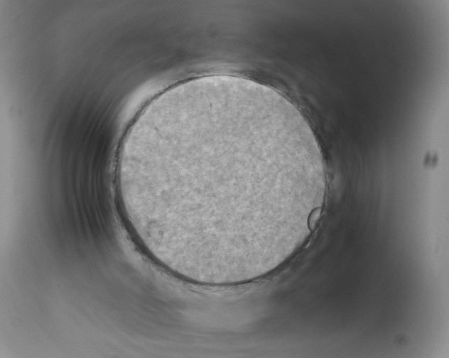X0000112090006200909151147