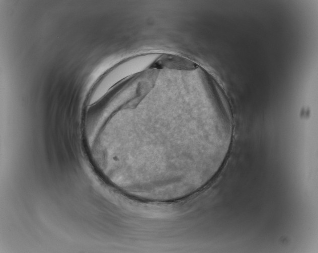 X0000112090008200909151147