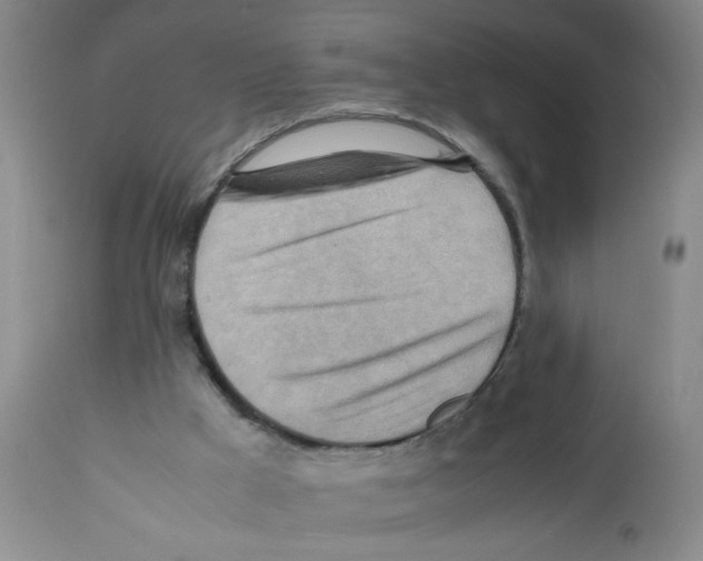 X0000112090009200909151147