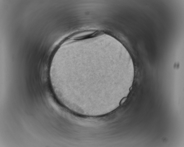 X0000112090012200909151147