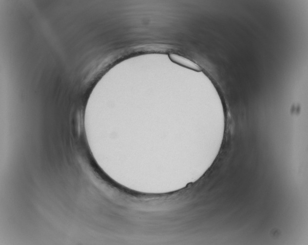 X0000112090013200909151147