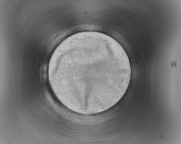 X0000112090014200909151147