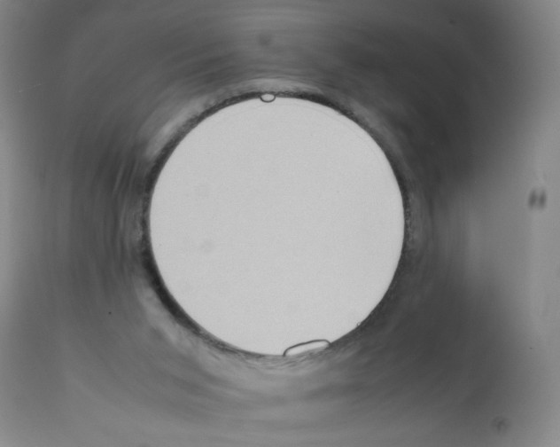 X0000112090015200909151147