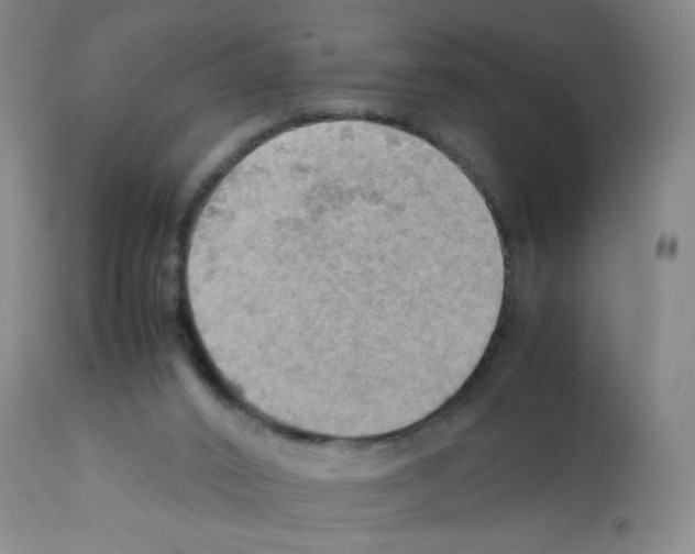 X0000112090016200909151147