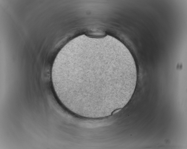 X0000112090017200909151147