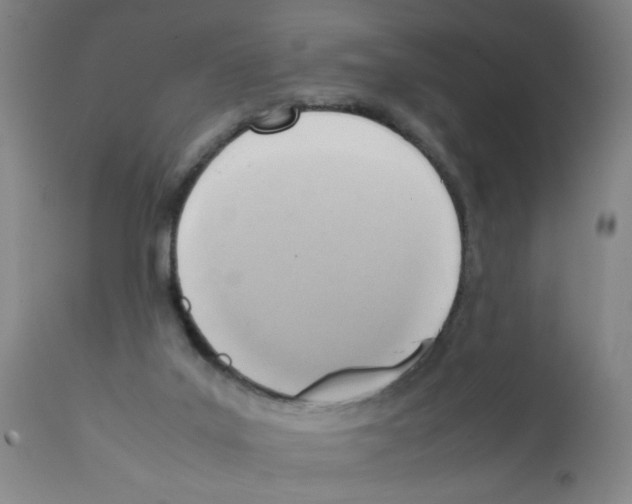 X0000112090019200909151147